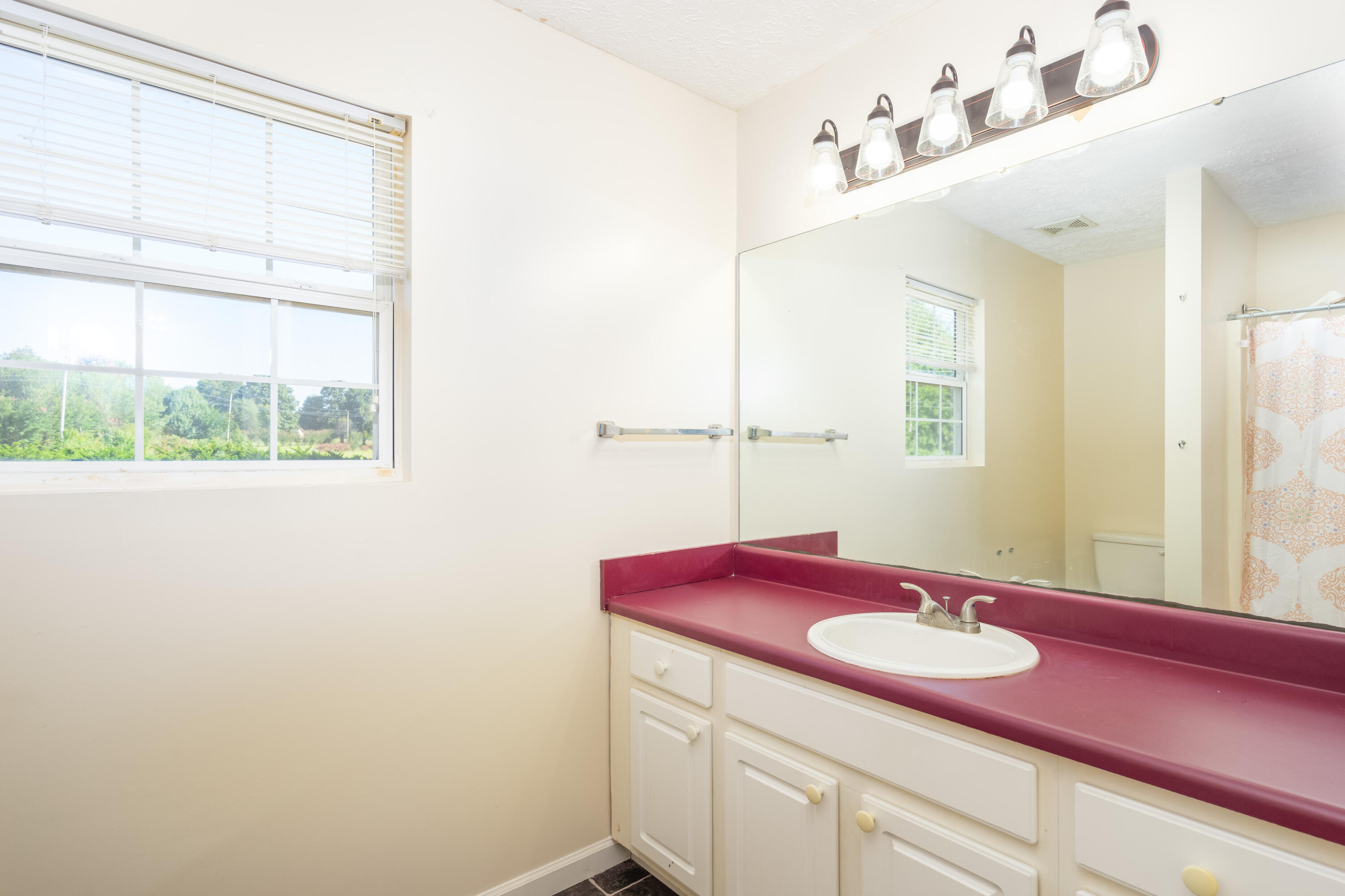 465 Shaver Road Dayton, TN 37321 - Photo 20 of 23 Full Bath