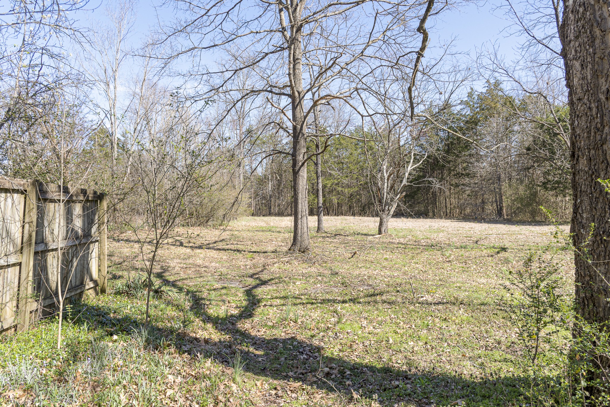 5155 Will Brown Road Spring Hill, TN 37174 - Photo 16 of 22
