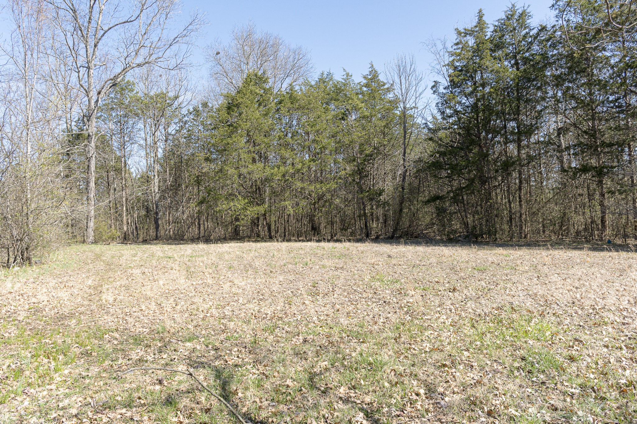 5155 Will Brown Road Spring Hill, TN 37174 - Photo 17 of 22