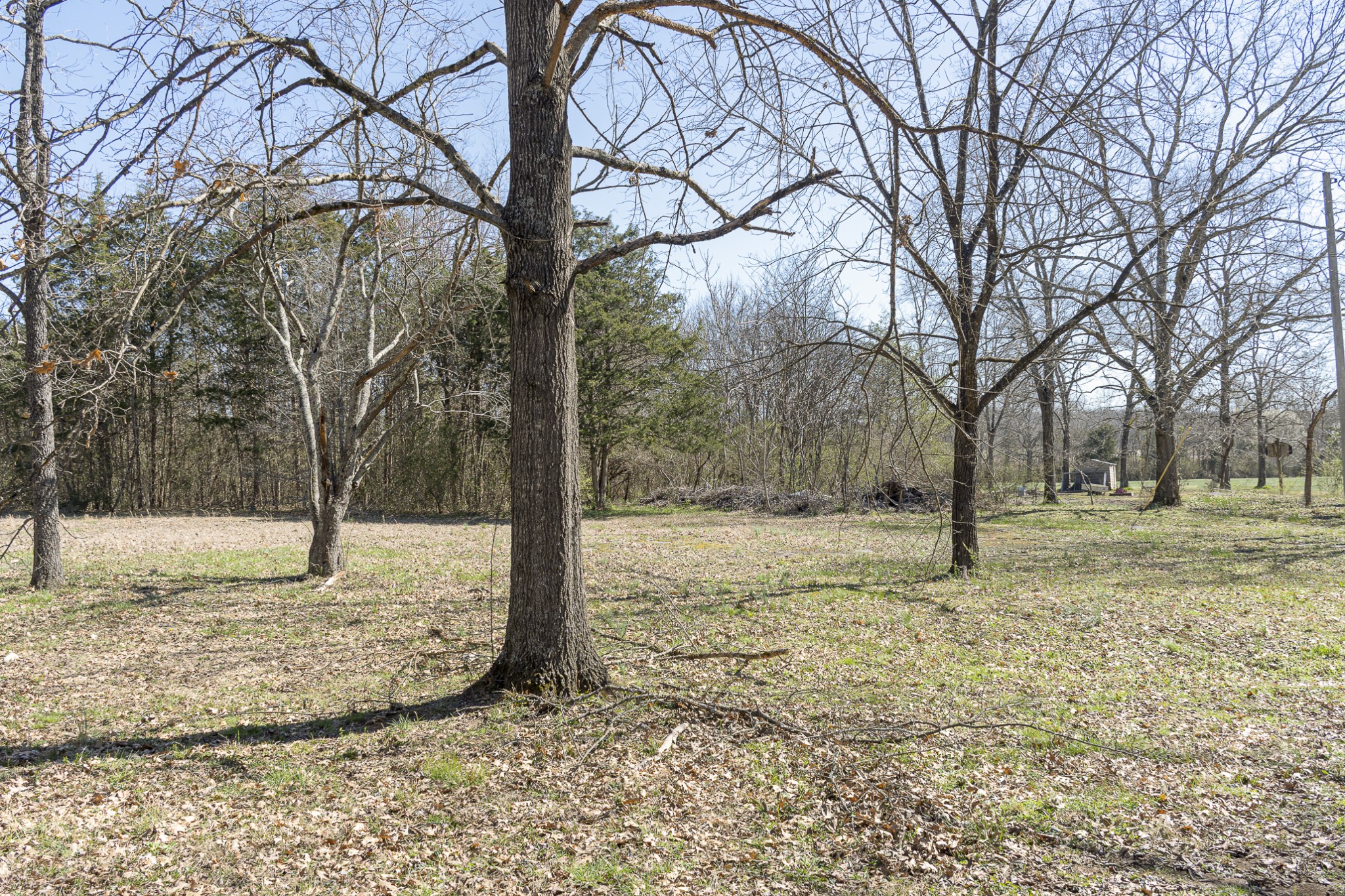 5155 Will Brown Road Spring Hill, TN 37174 - Photo 18 of 22
