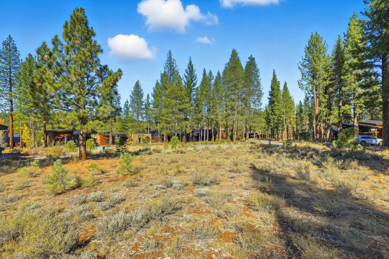 11111 Henness Road Truckee, CA 96161 - Photo 11 of 17 a view of outdoor space with trees