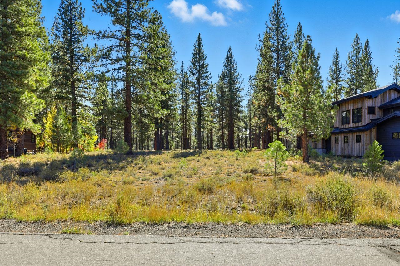 11111 Henness Road Truckee, CA 96161 - Photo 12 of 17 a view of a yard covered with snow in the background
