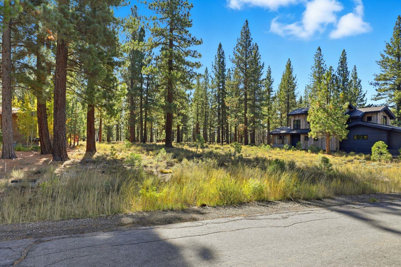 11111 Henness Road Truckee, CA 96161 - Photo 13 of 17 a view of swimming pool with a yard