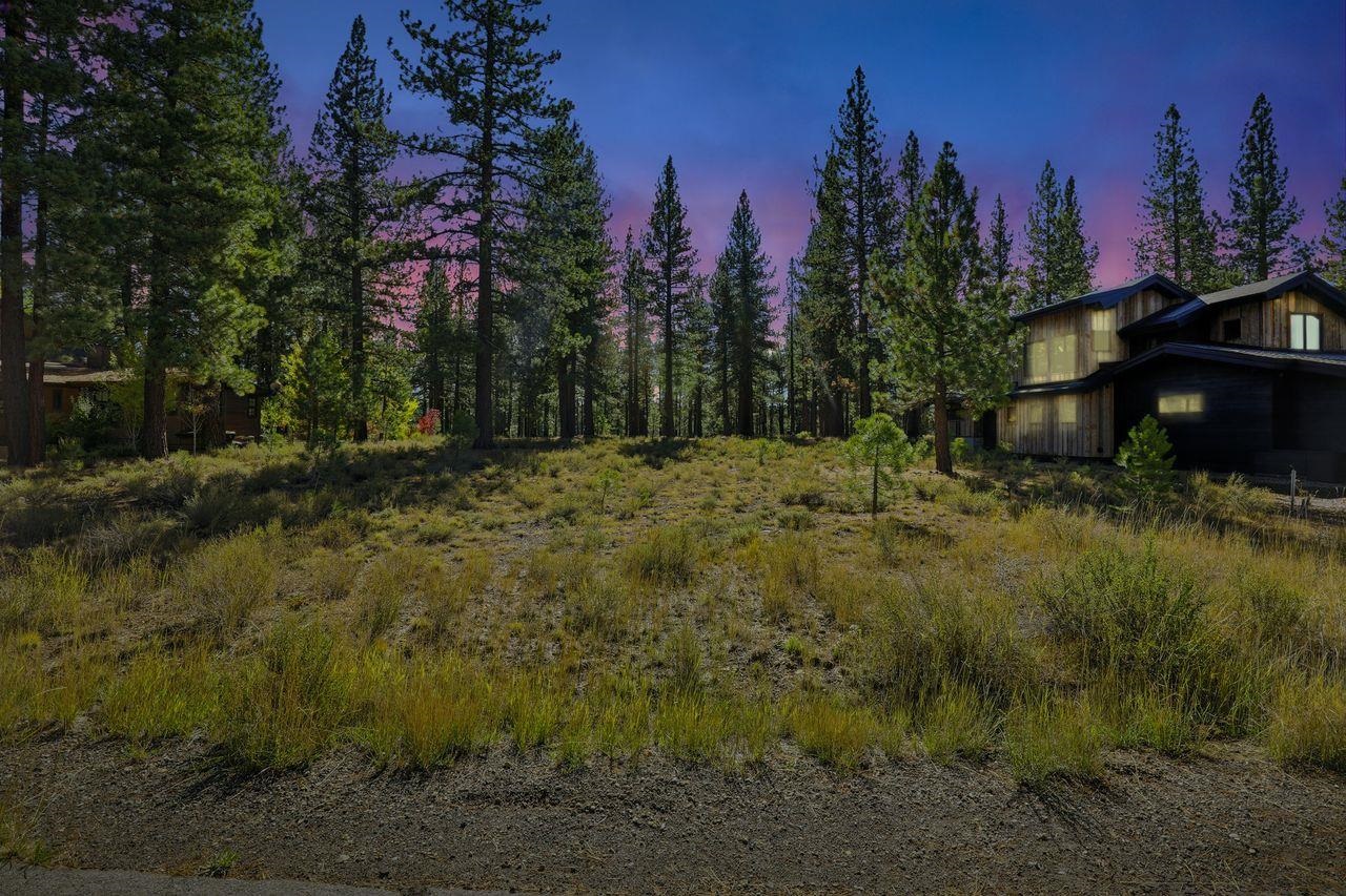 11111 Henness Road Truckee, CA 96161 - Photo 15 of 17 a big yard with lots of green space and trees