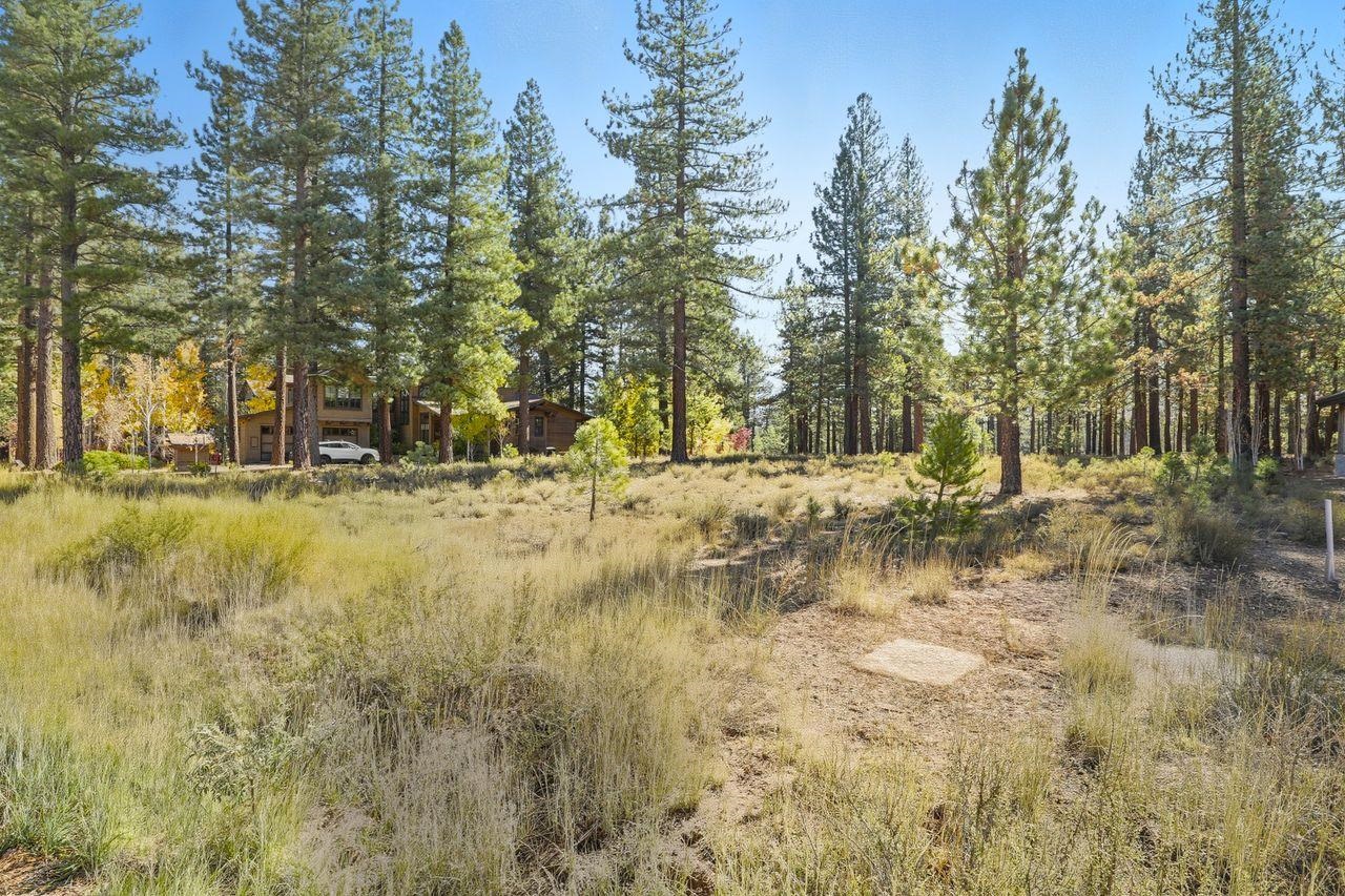11111 Henness Road Truckee, CA 96161 - Photo 3 of 17 a view of yard with trees