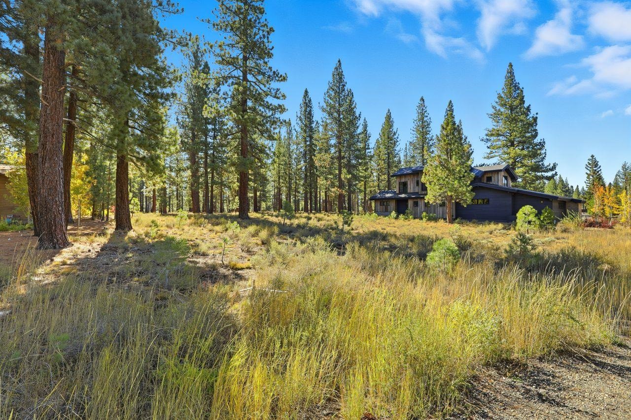 11111 Henness Road Truckee, CA 96161 - Photo 4 of 17 a view of yard with trees