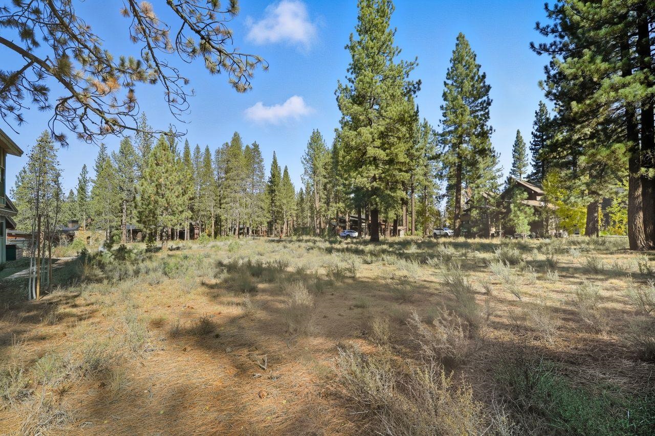 11111 Henness Road Truckee, CA 96161 - Photo 5 of 17 a view of large yard with green space
