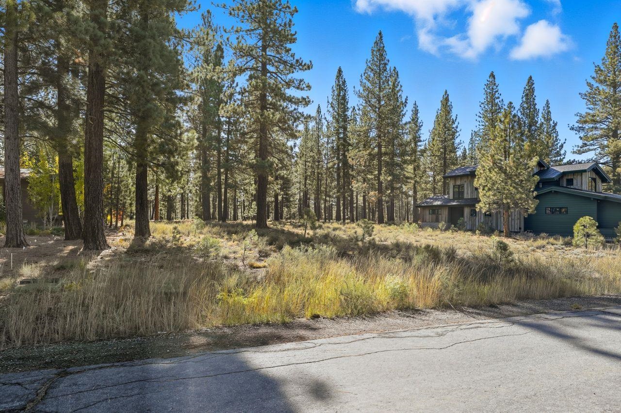 11111 Henness Road Truckee, CA 96161 - Photo 7 of 17 a view of backyard with green space