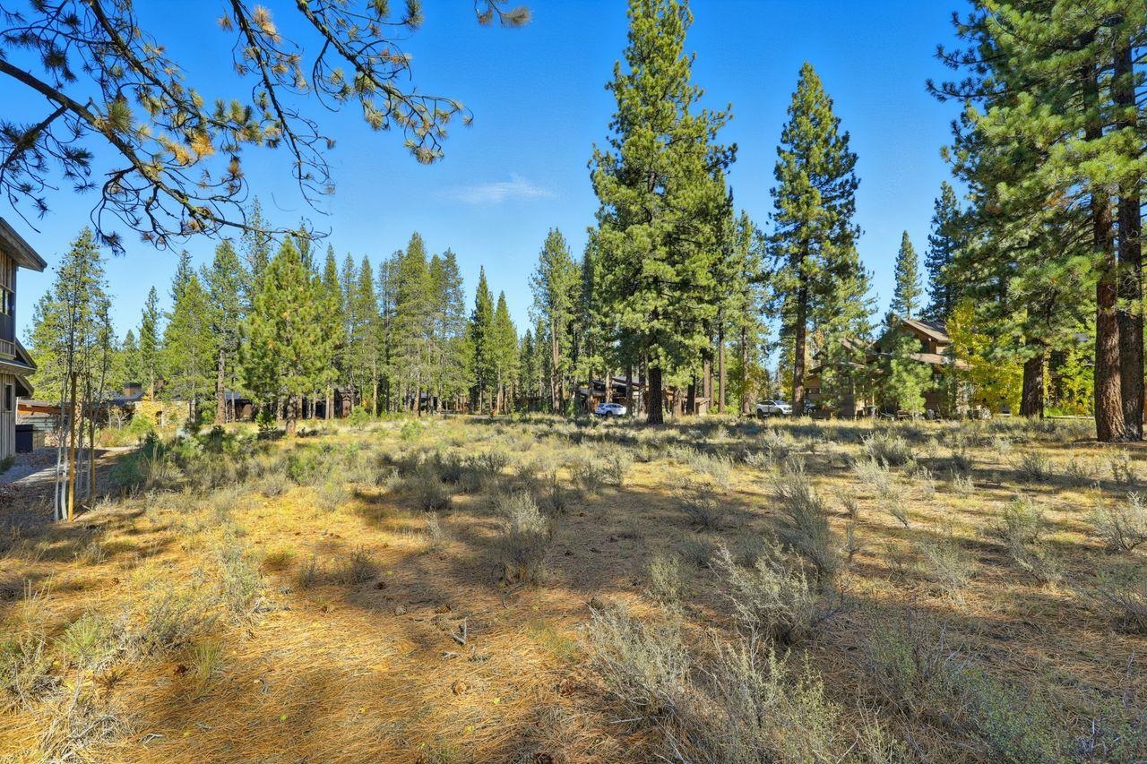 11111 Henness Road Truckee, CA 96161 - Photo 8 of 17 a view of yard with trees