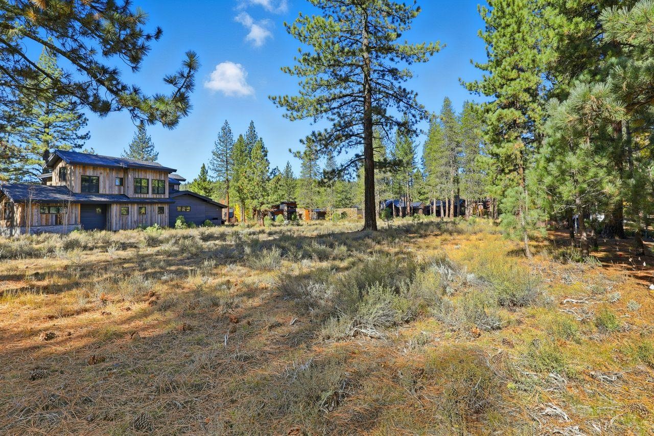 11111 Henness Road Truckee, CA 96161 - Photo 10 of 17 a view of a house with large trees and covered with snow