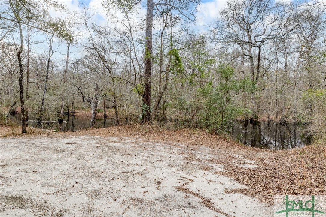 147 Cubbedge Drive Rincon, GA 31326 - Photo 47 of 47