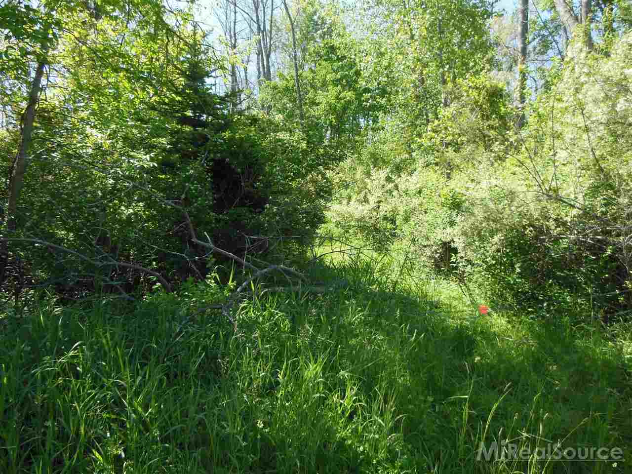 0 Rapson Road Bad Axe, MI 48413 - Photo 8 of 10