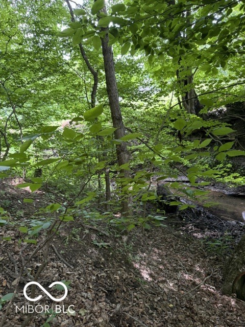0 Coloma Road Rockville, IN 47872 - Photo 14 of 28 Gallery Image 14