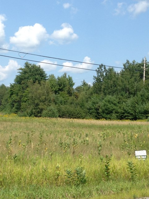 0 Cutting Road Elizabethtown, NY 12932 - Photo 3 of 3 Gallery Image 3