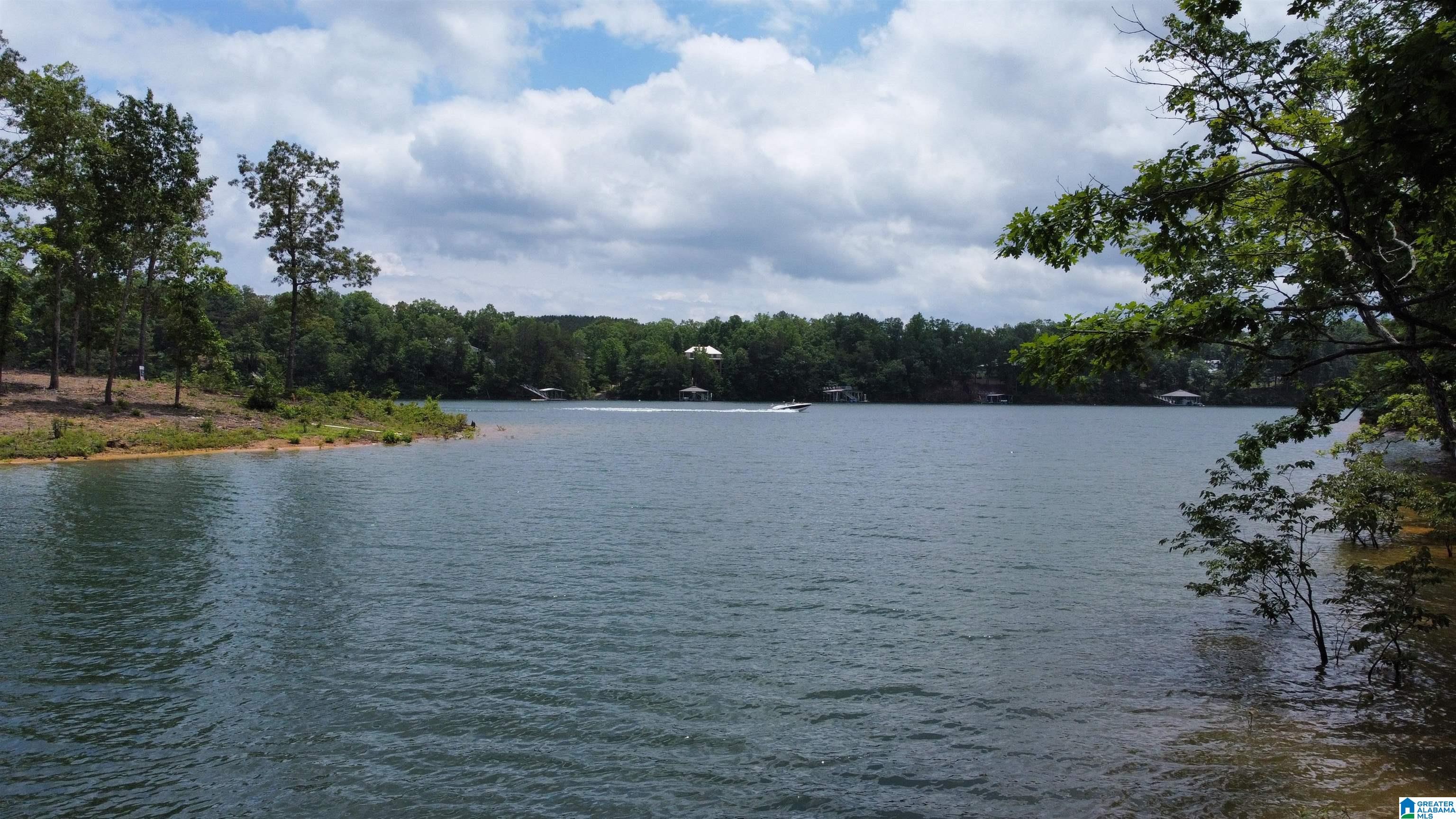 Lot 9 Edgewater Bend Road, Unit 9 Arley, AL 35541 - Photo 4 of 14