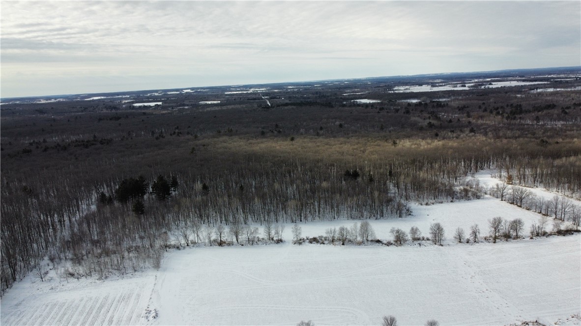 1768 290th Street Cadott, WI 54727 - Photo 2 of 6