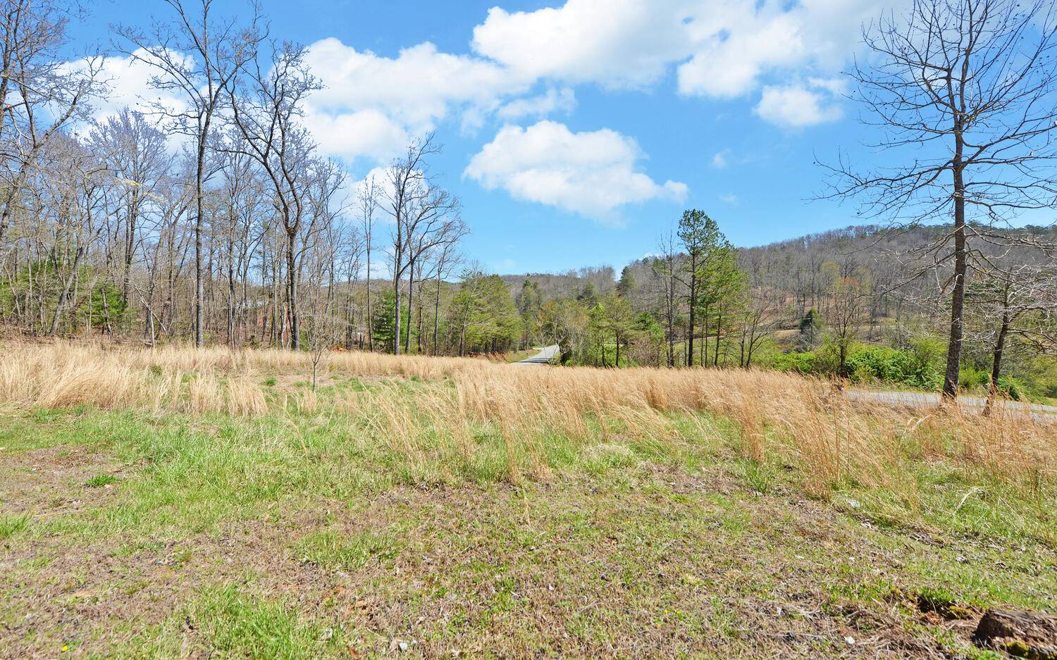 1340 Sunrise Road Blue Ridge, GA 30513 - Photo 7 of 34 Additional View
