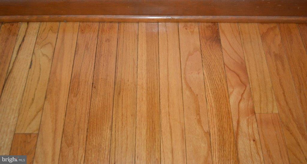 206 Friendship Road Elkton, MD 21921 - Photo 6 of 30 Hardwood Floors throughout-Some Under Carpet.