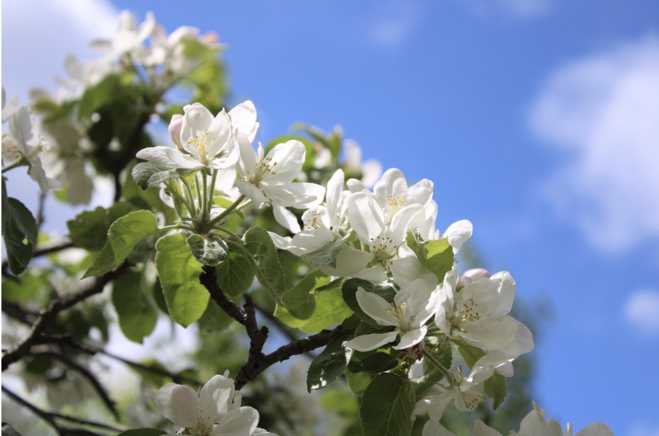 406 Pinnacle Road Canaan, ME 04924 - Photo 37 of 43 Beautiful landscape