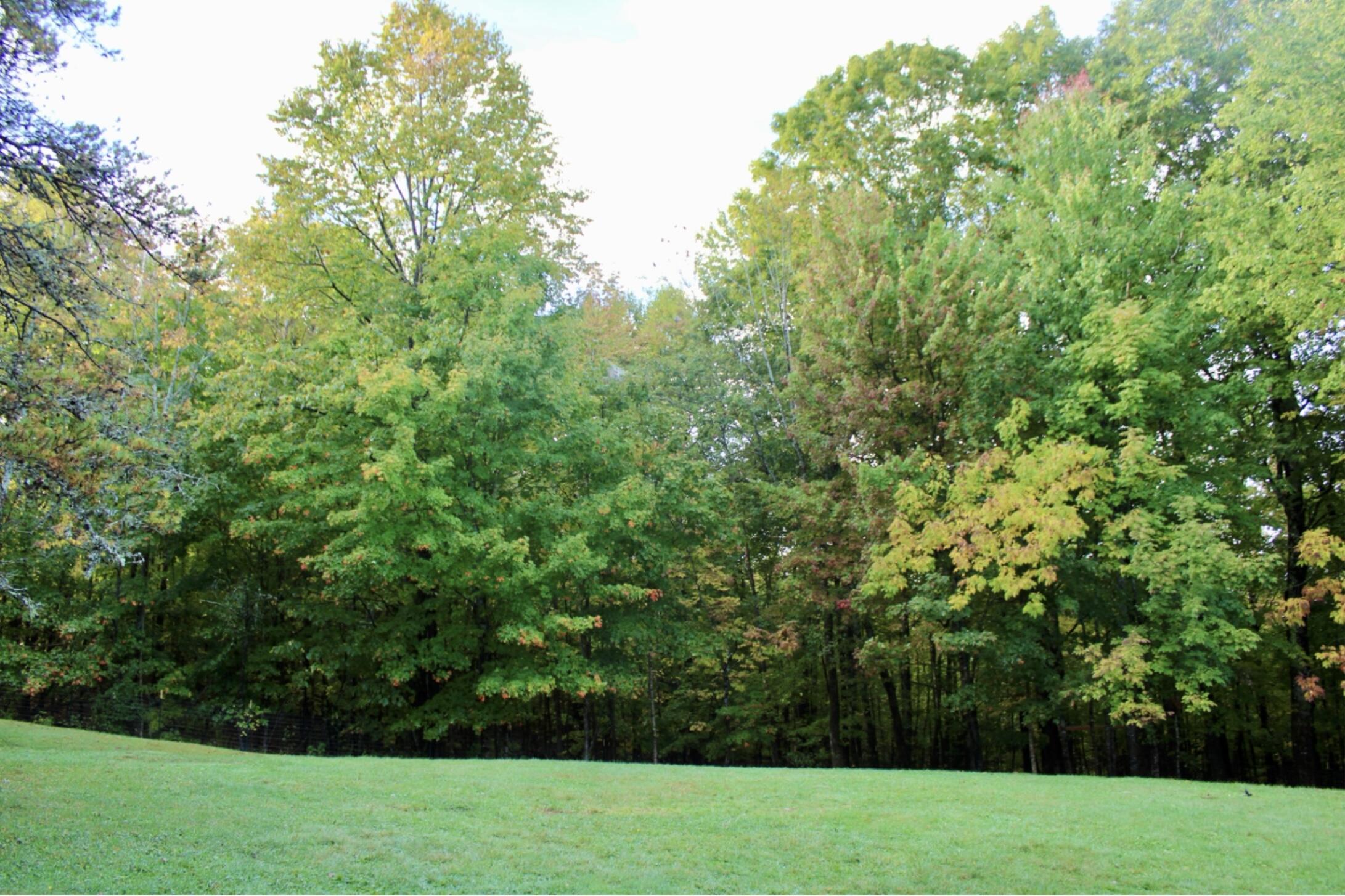 406 Pinnacle Road Canaan, ME 04924 - Photo 41 of 43 Another view