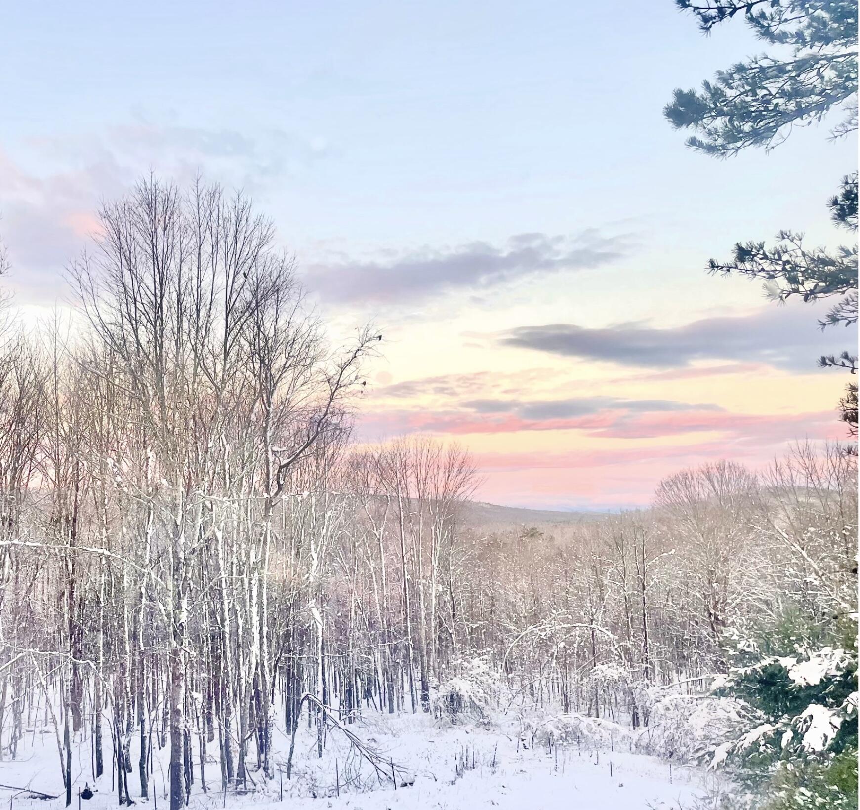 406 Pinnacle Road Canaan, ME 04924 - Photo 43 of 43 Winter scene