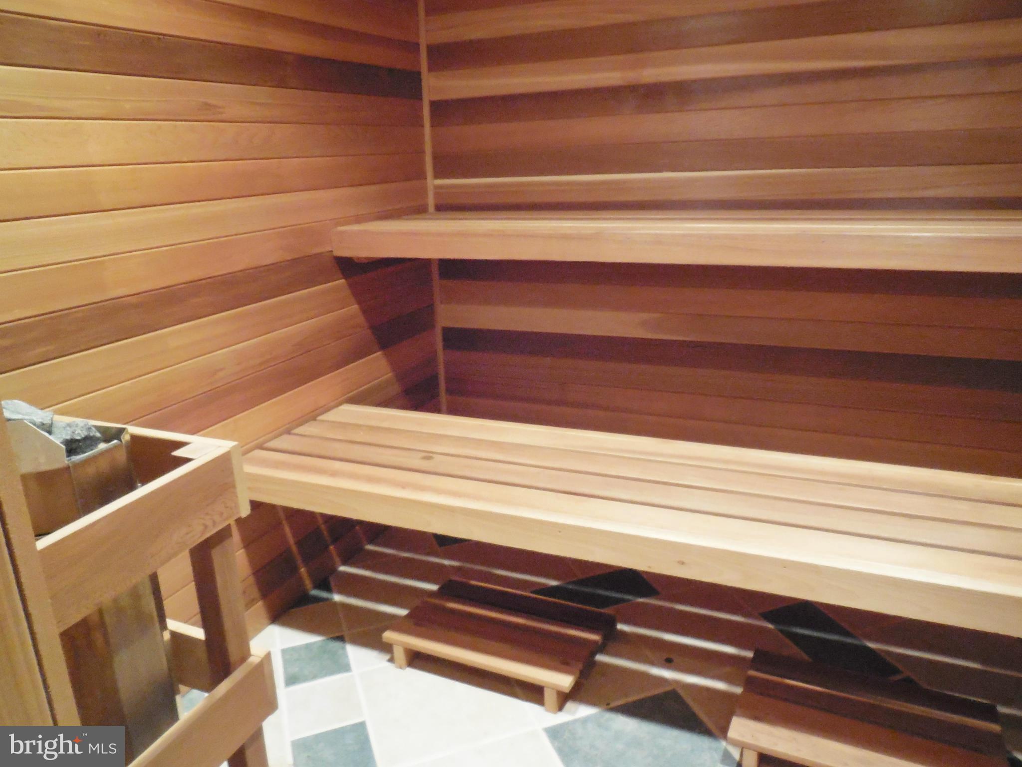 4103 Spring View Drive Jefferson, MD 21755 - Photo 25 of 30 Sauna Room