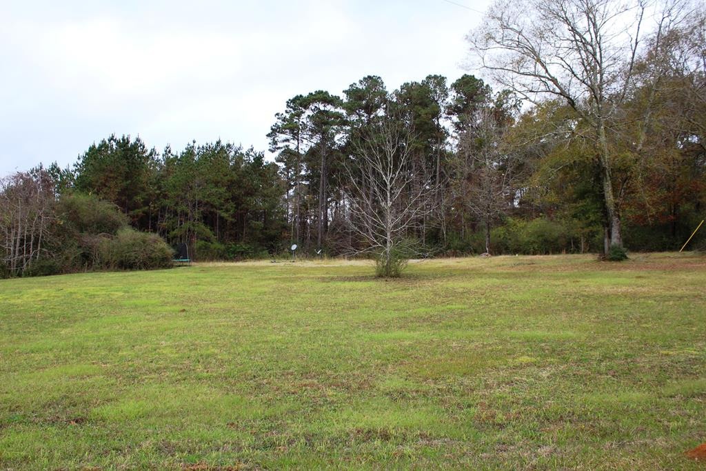 3347 Smiley Honea Road Magnolia, MS 39652 - Photo 1 of 7 Main View