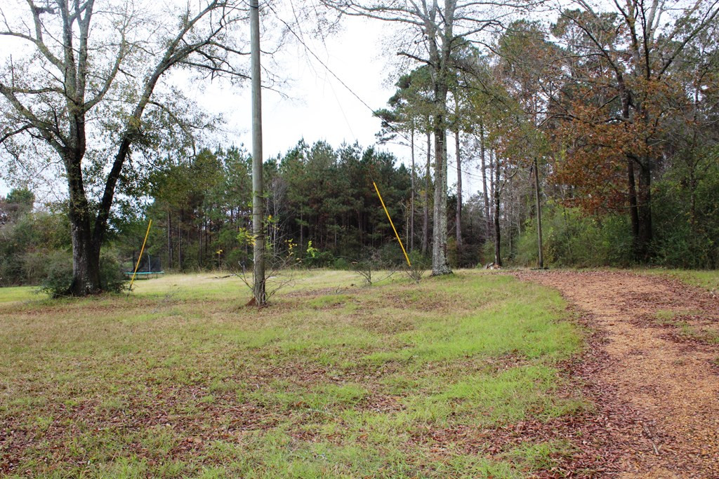 3347 Smiley Honea Road Magnolia, MS 39652 - Photo 3 of 7 Photo 3