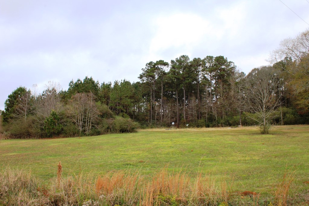 3347 Smiley Honea Road Magnolia, MS 39652 - Photo 5 of 7 Photo 5