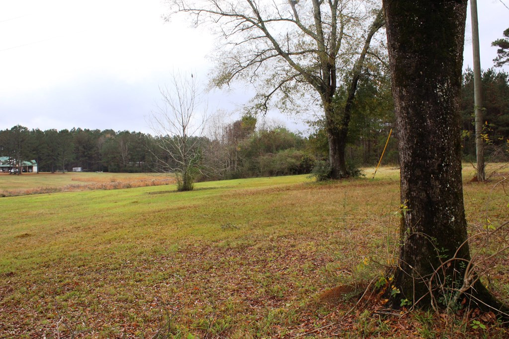 3347 Smiley Honea Road Magnolia, MS 39652 - Photo 6 of 7 Photo 6
