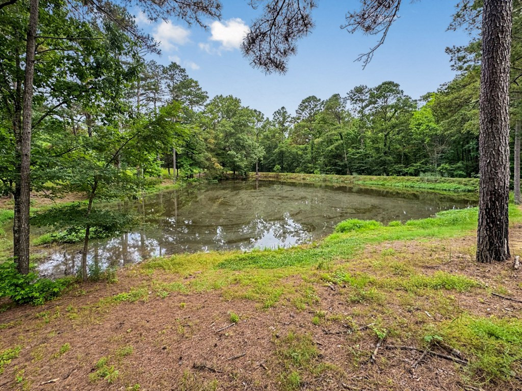 7 Turkey Creek Road Natchez, MS 39120 - Photo 41 of 42 Photo 41