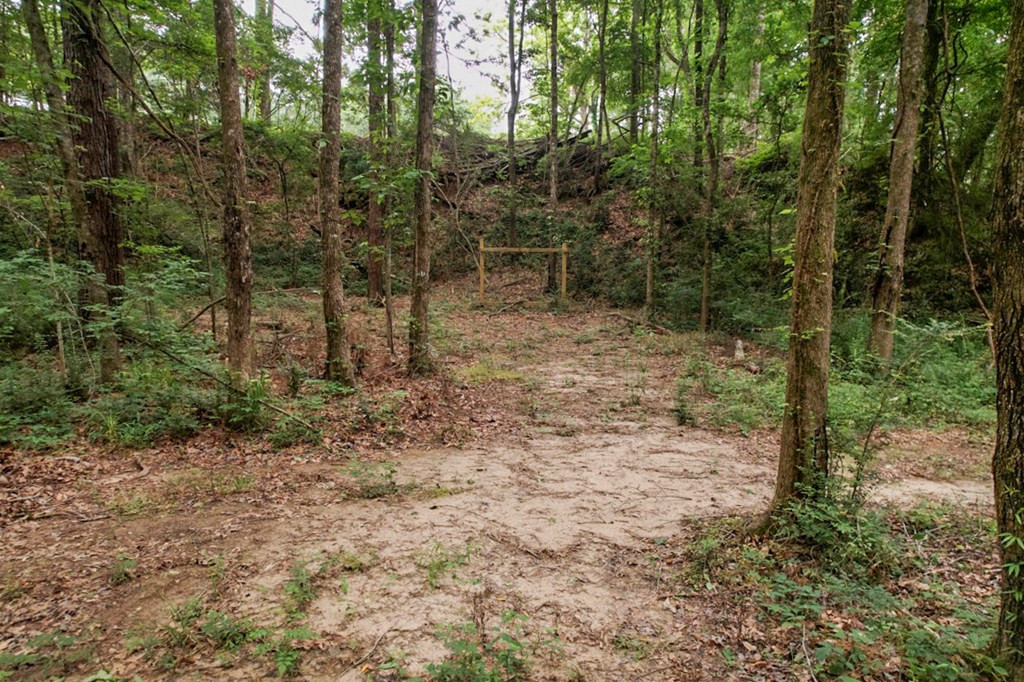 7 Turkey Creek Road Natchez, MS 39120 - Photo 5 of 42 Photo 5