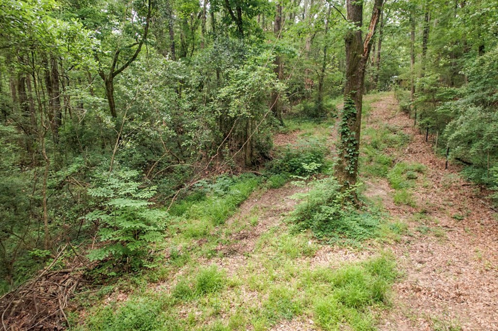 7 Turkey Creek Road Natchez, MS 39120 - Photo 6 of 42 Photo 6