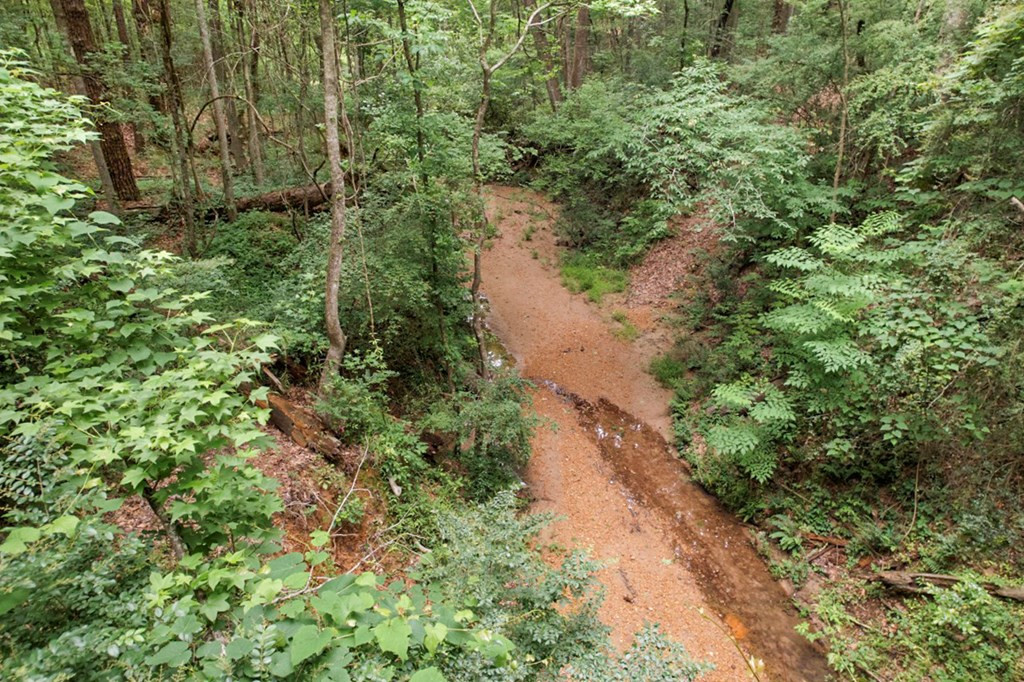 7 Turkey Creek Road Natchez, MS 39120 - Photo 8 of 42 Photo 8