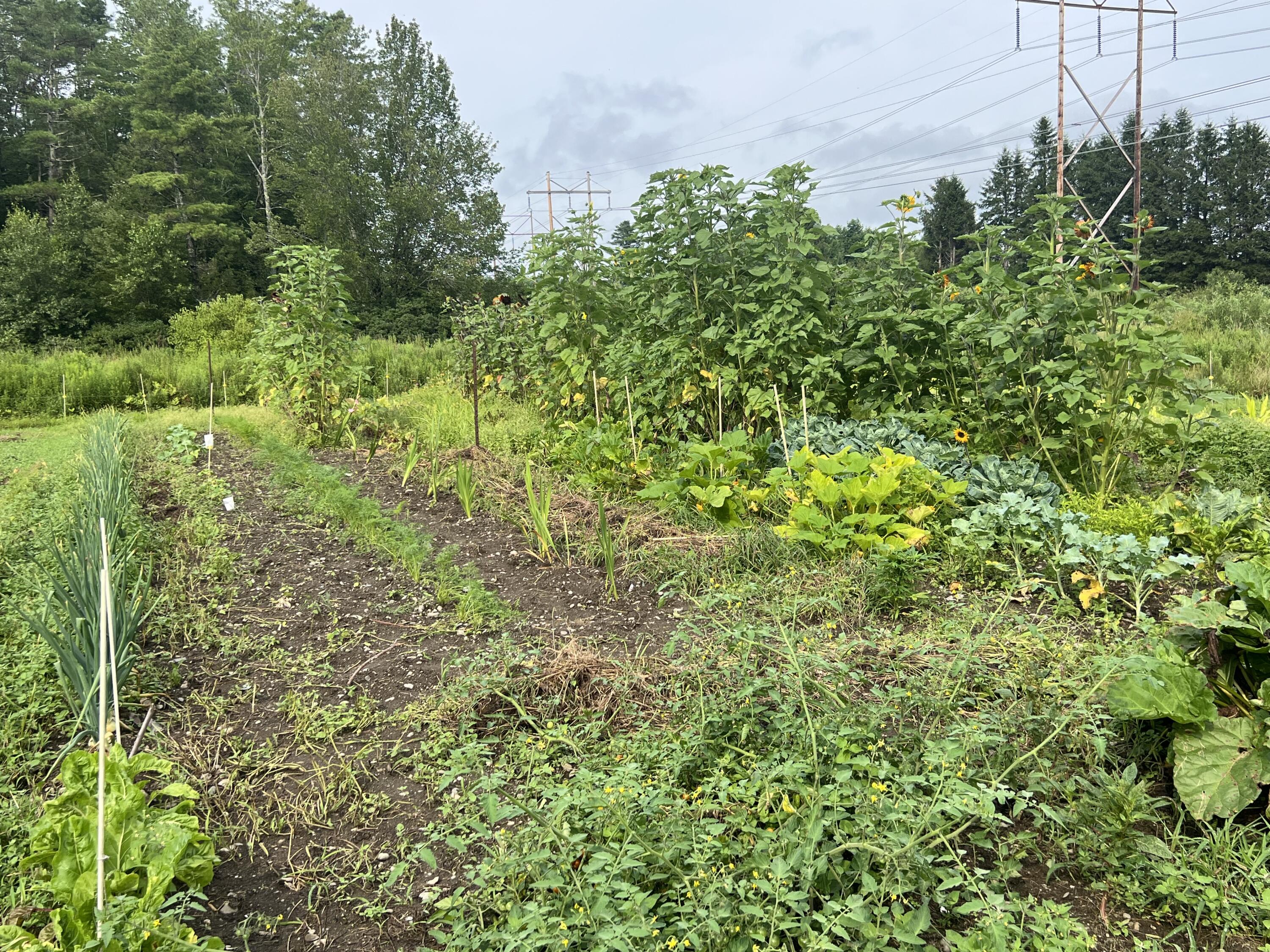 1465 Waterville Road Belfast, ME 04915 - Photo 27 of 31 Garden