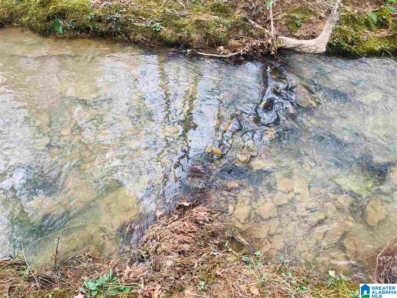 3111 Jackson Road, Unit 75 ACRES Pinson, AL 35126 - Photo 6 of 16