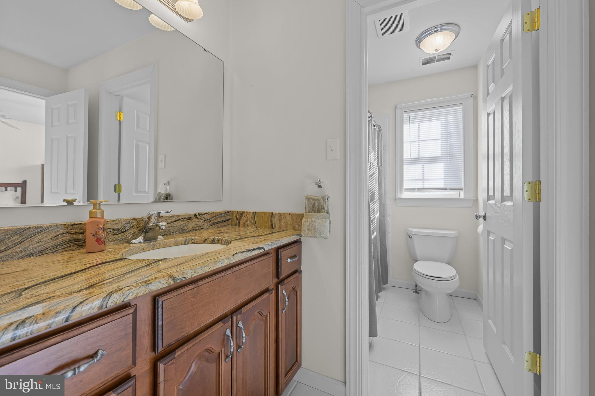 305 Williamson Way Downingtown, PA 19335 - Photo 30 of 60 a bathroom with a granite countertop sink a toilet and a mirror