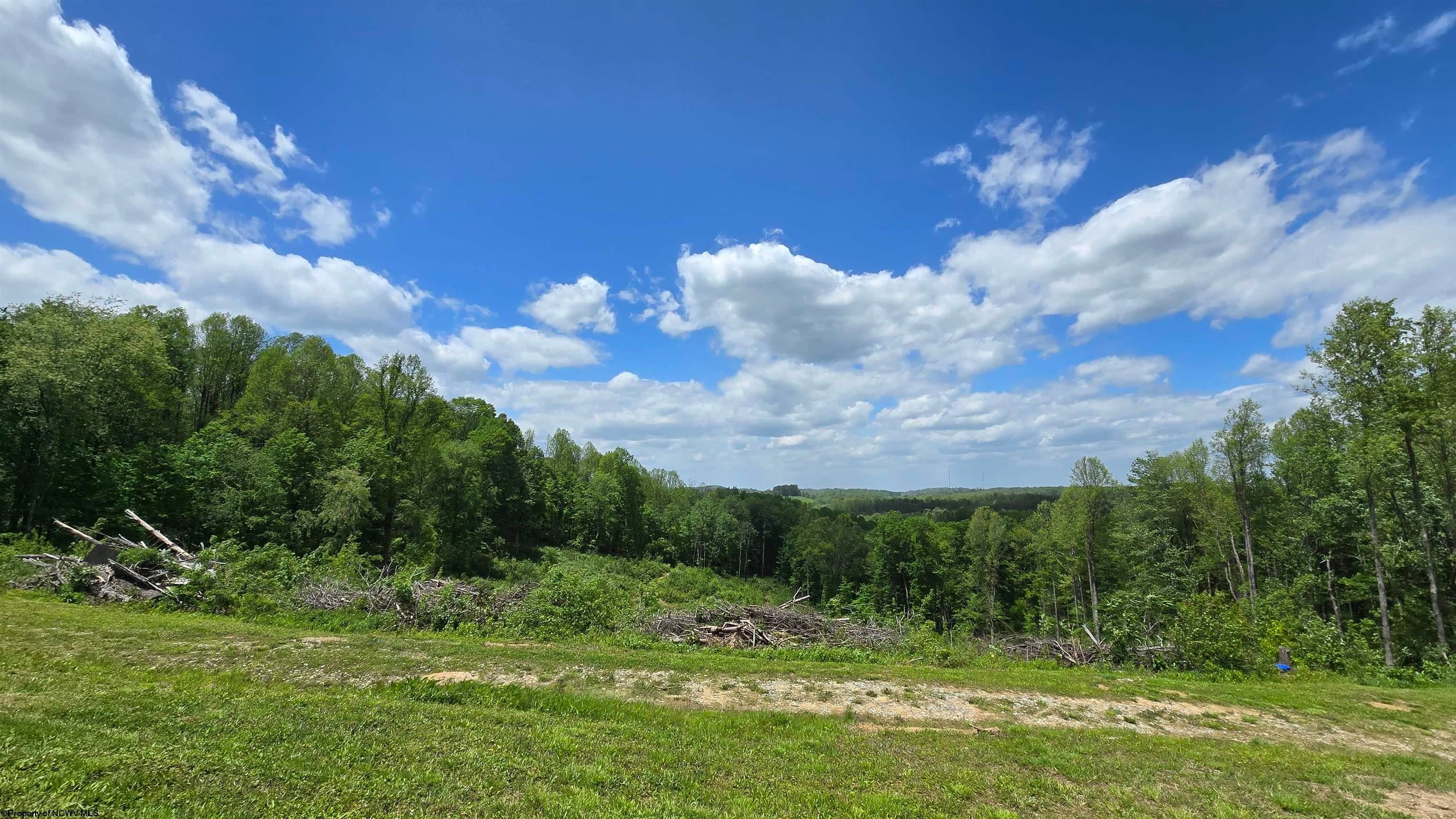 667 Midway Road Belington, WV 26250 - Photo 11 of 23 Gallery Image 11
