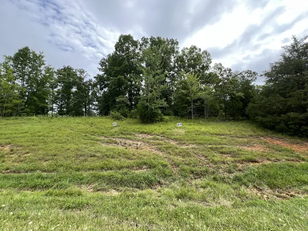 a view of a green field with trees in the background