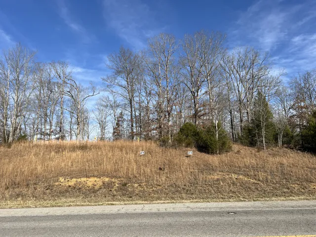 a view of a yard with large trees