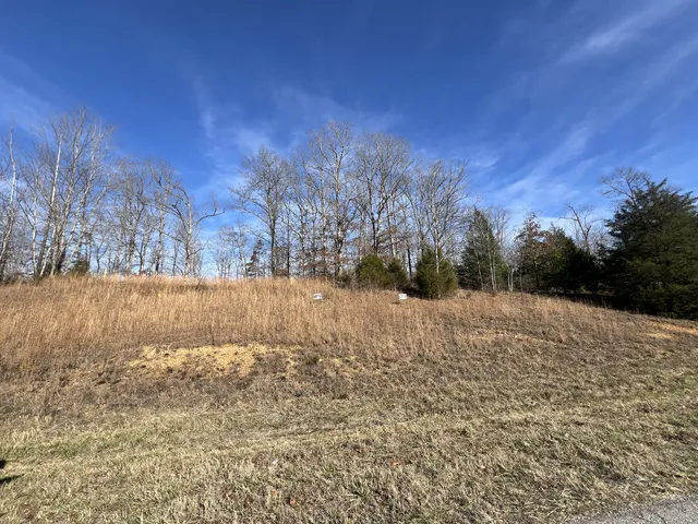 a view of outdoor space yard and entertaining space