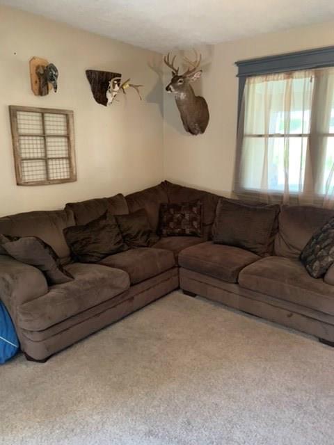 768 Old State Road Apollo, PA 15613 - Photo 5 of 21