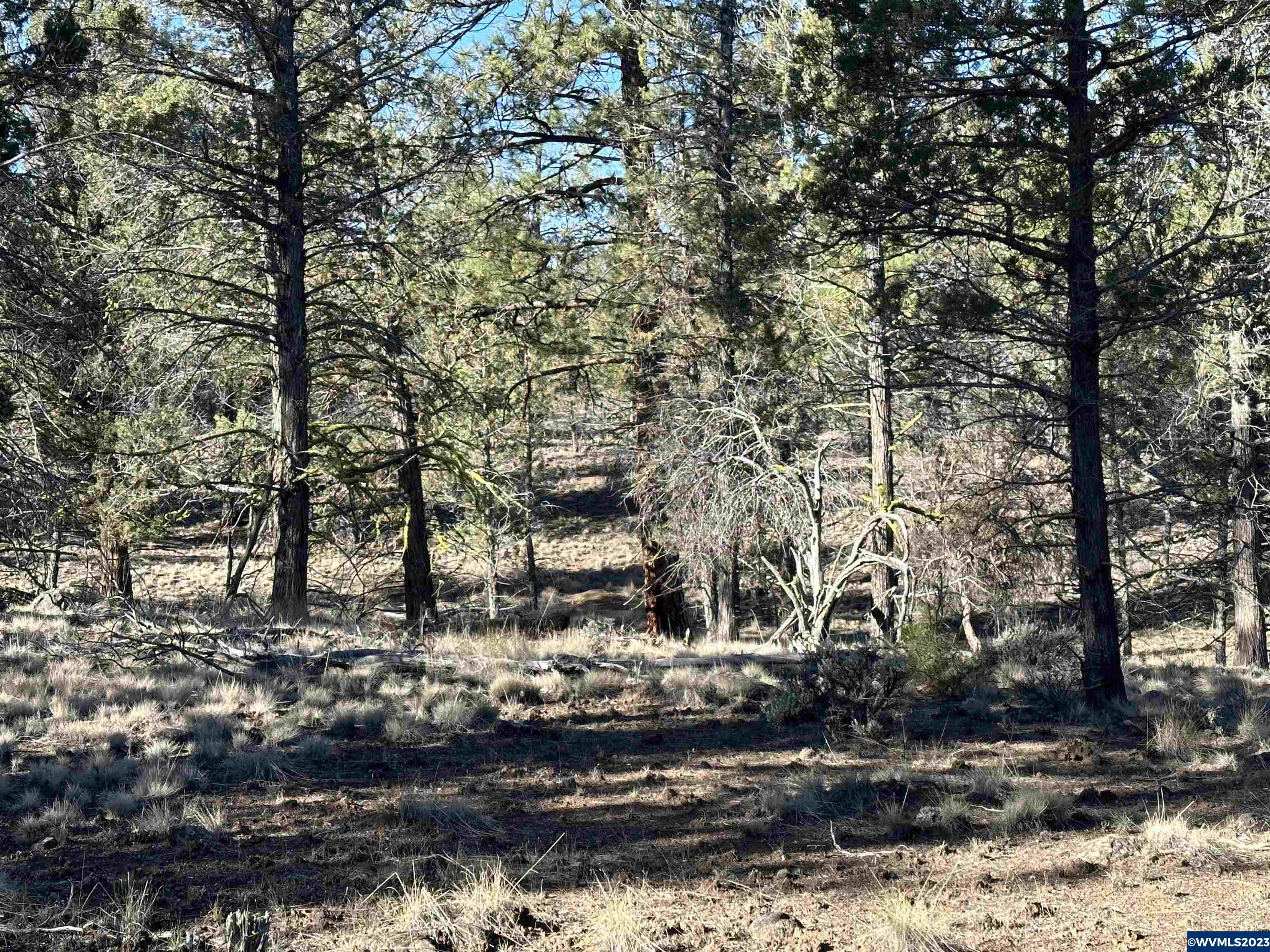 1300 Fishhole Creek Road Bly, OR 97622 - Photo 19 of 25