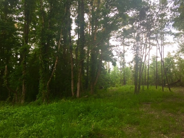 897 Thaggard Road Carthage, MS 39051 - Photo 13 of 13 Photo 13