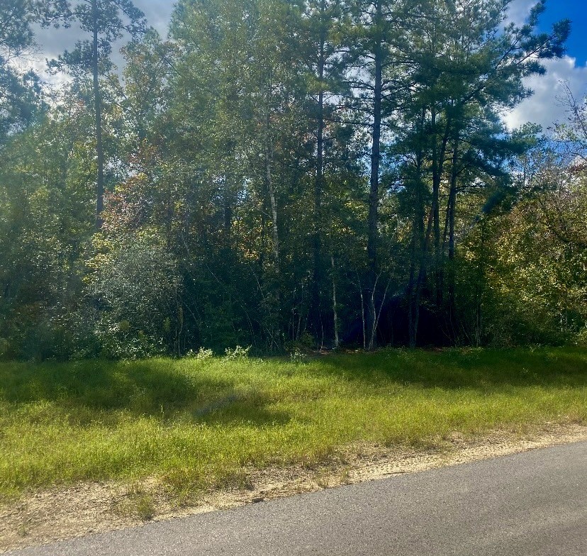 15629 Frst Knl Road Willis, TX 77378 - Photo 2 of 7 a view of a swimming pool with a yard