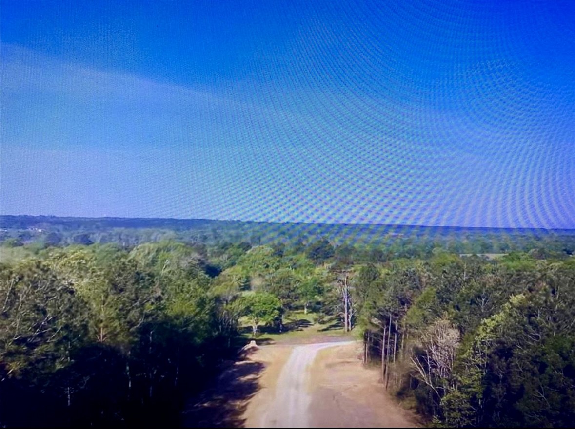 15629 Frst Knl Road Willis, TX 77378 - Photo 3 of 7 a view of a yard with an outdoor space