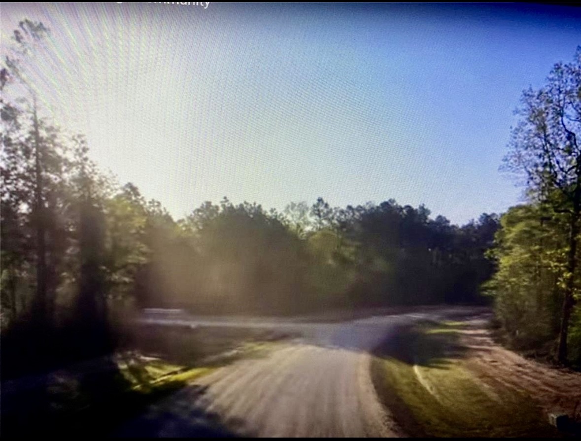 15629 Frst Knl Road Willis, TX 77378 - Photo 4 of 7 a view of swimming pool from a yard
