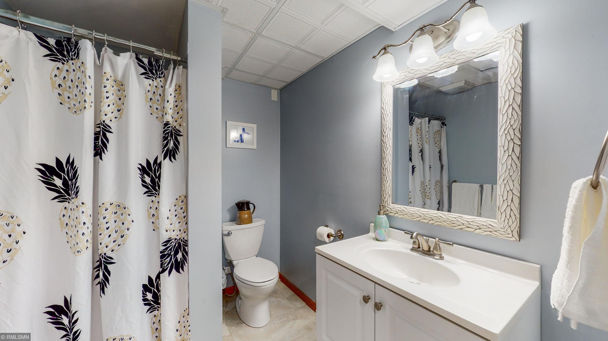 918 23rd Street Southeast Rochester, MN 55904 - Photo 16 of 27 Gallery Image 16