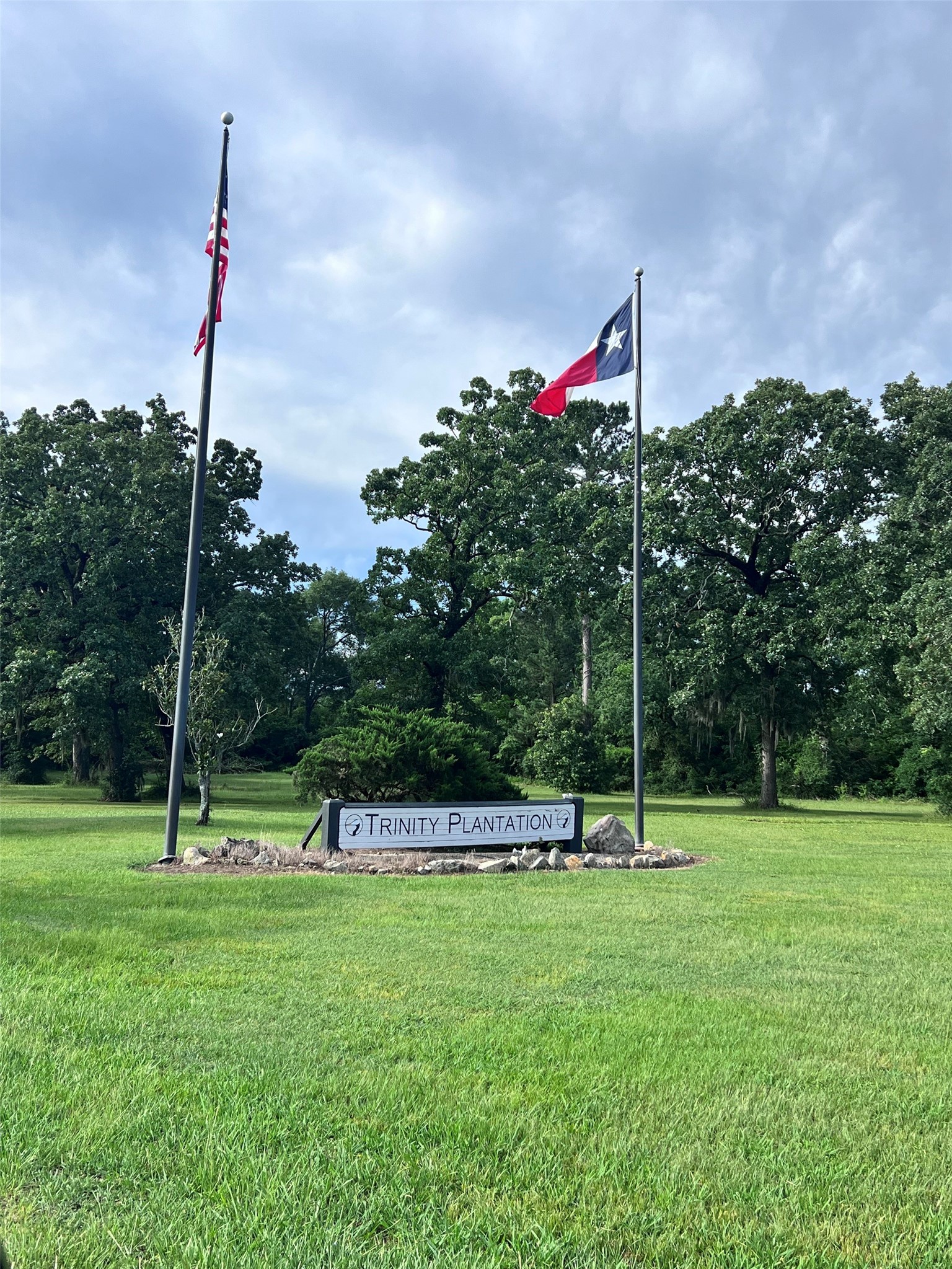 a view of a park with swings