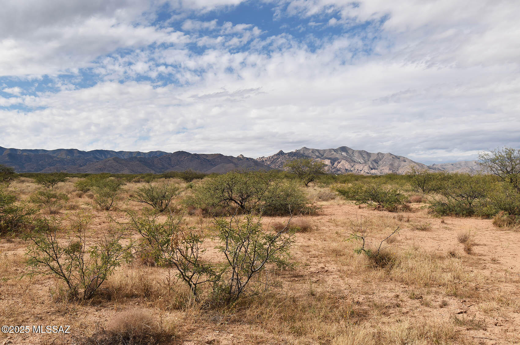 4-lots 4-lots Unnamed Road, Unit 456 Pearce, AZ 85625 - Photo 11 of 20